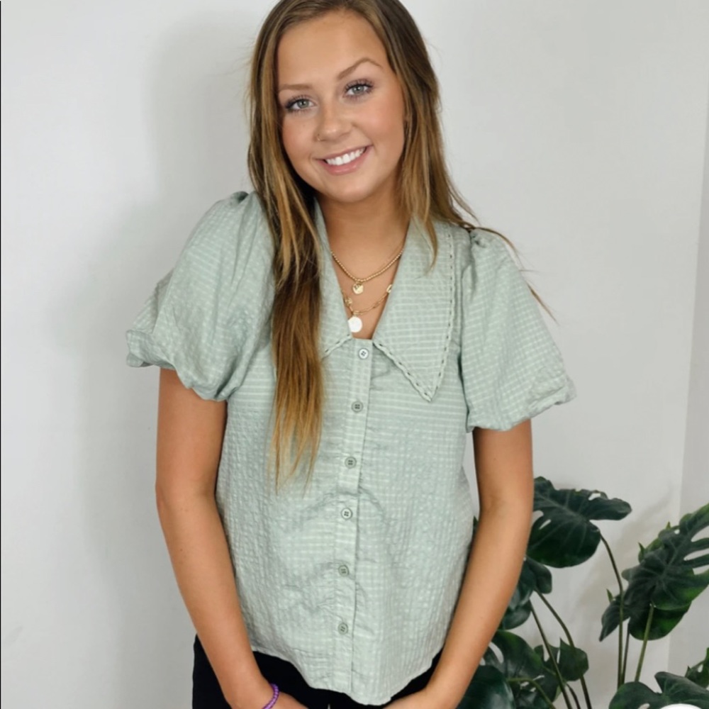 Puffed sleeve blouse NWT